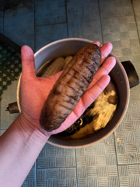 Premium Sea Cucumber (Dry) 1 kg pack (40-45pieces)